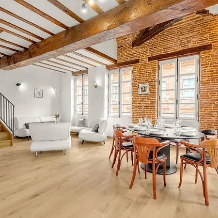 Appartement Monsieur Henri - Grand Appt En Plein Centre Toulouse