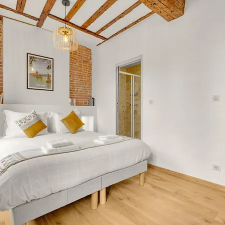 Apartament Monsieur Henri - Grand Appt En Plein Centre *