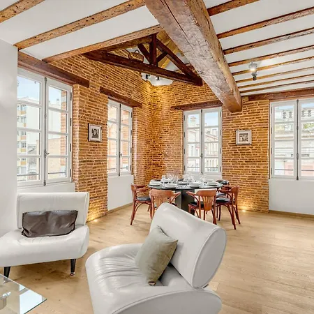 Apartmán Monsieur Henri - Grand Appt En Plein Centre Toulouse