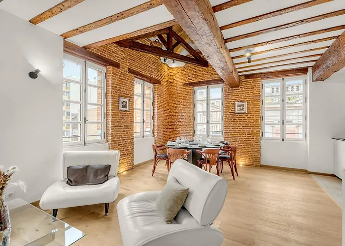 Appartement Monsieur Henri - Grand Appt En Plein Centre Toulouse