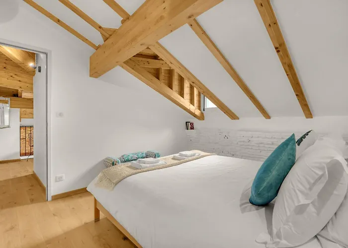 Monsieur Henri - Grand Appt En Plein Centre